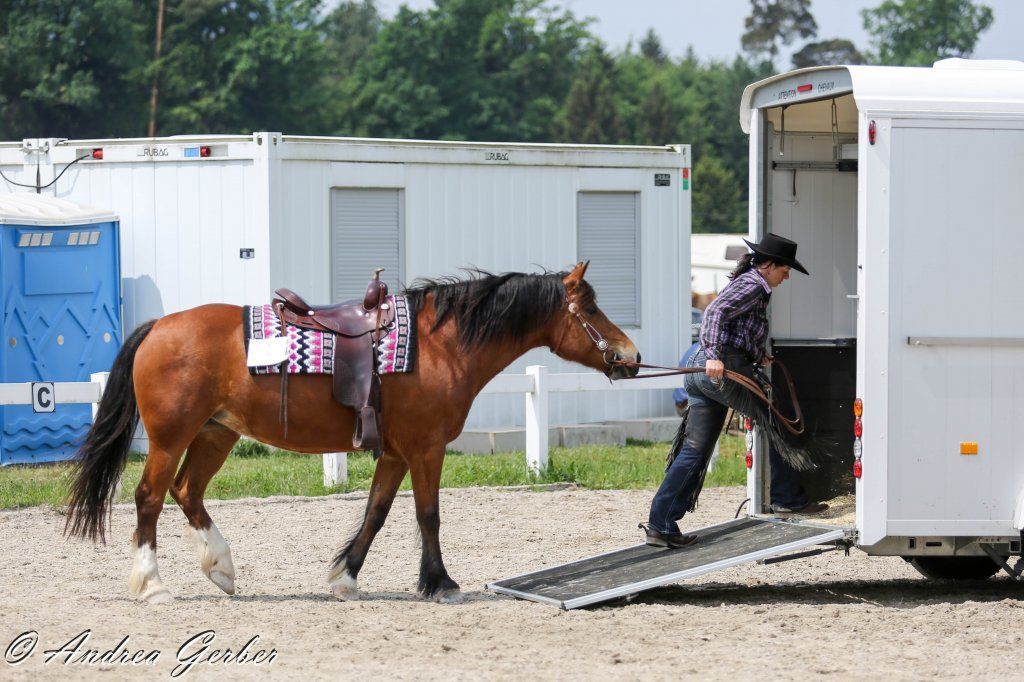 Swiss Ranch Horse Association - SRHA