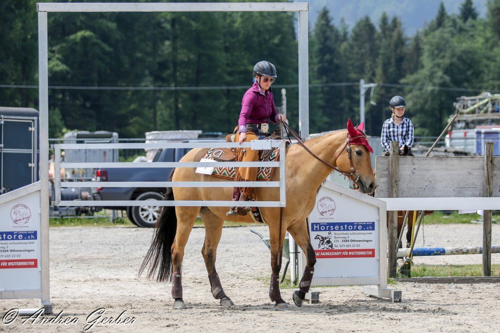 Swiss Ranch Horse Association - SRHA