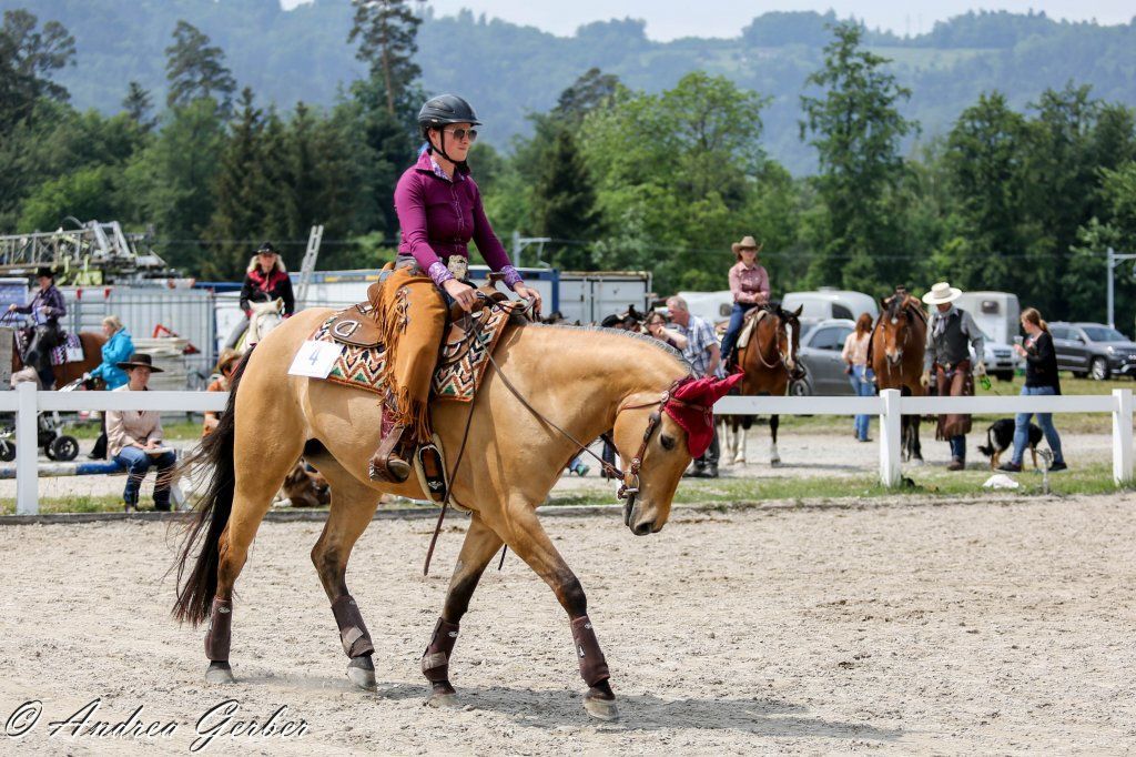 Swiss Ranch Horse Association - SRHA