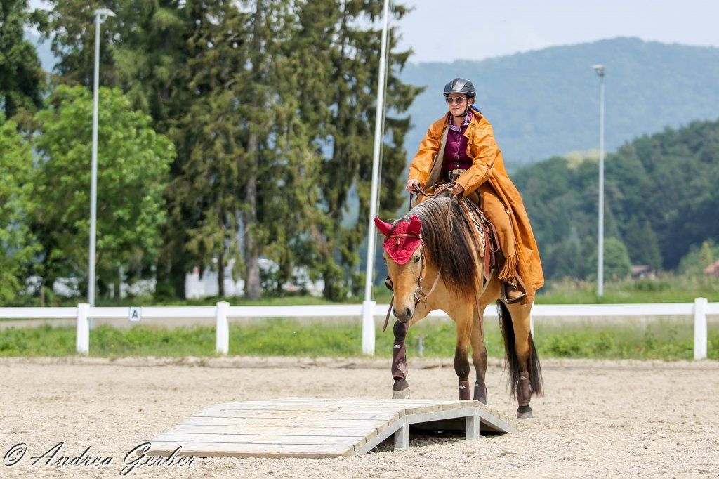 Swiss Ranch Horse Association - SRHA