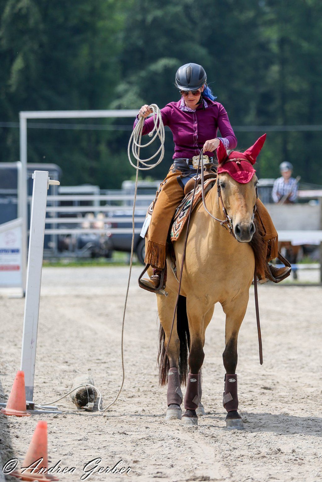 Swiss Ranch Horse Association - SRHA