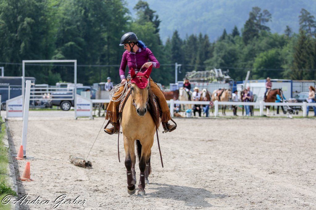 Swiss Ranch Horse Association - SRHA