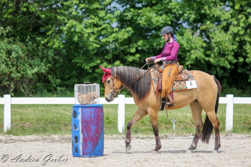 Swiss Ranch Horse Association - SRHA