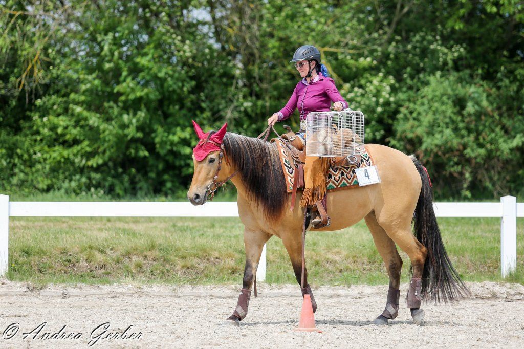 Swiss Ranch Horse Association - SRHA