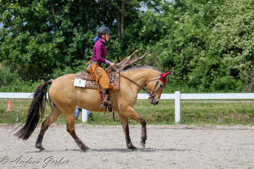 Swiss Ranch Horse Association - SRHA