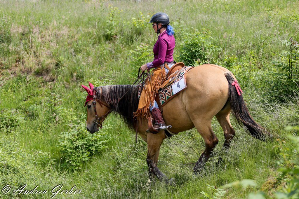 Swiss Ranch Horse Association - SRHA