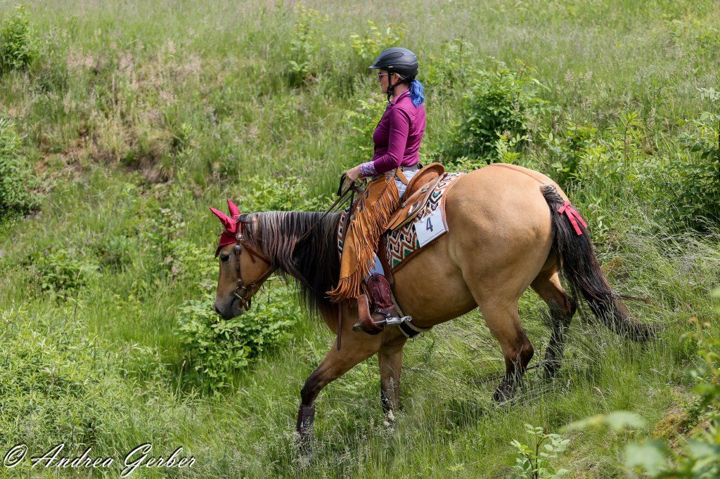 Swiss Ranch Horse Association - SRHA