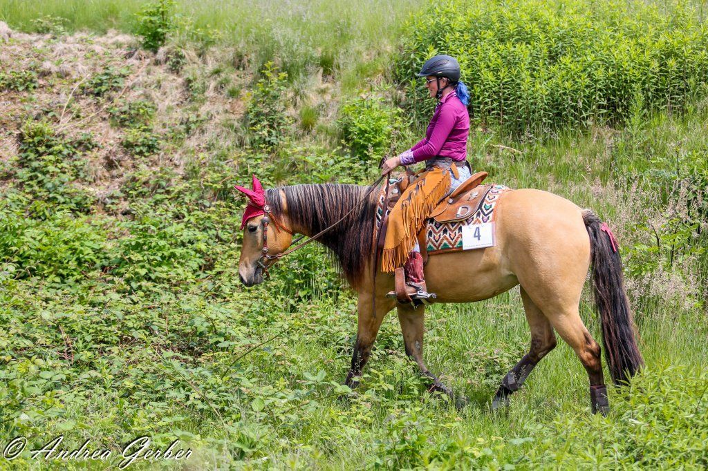 Swiss Ranch Horse Association - SRHA