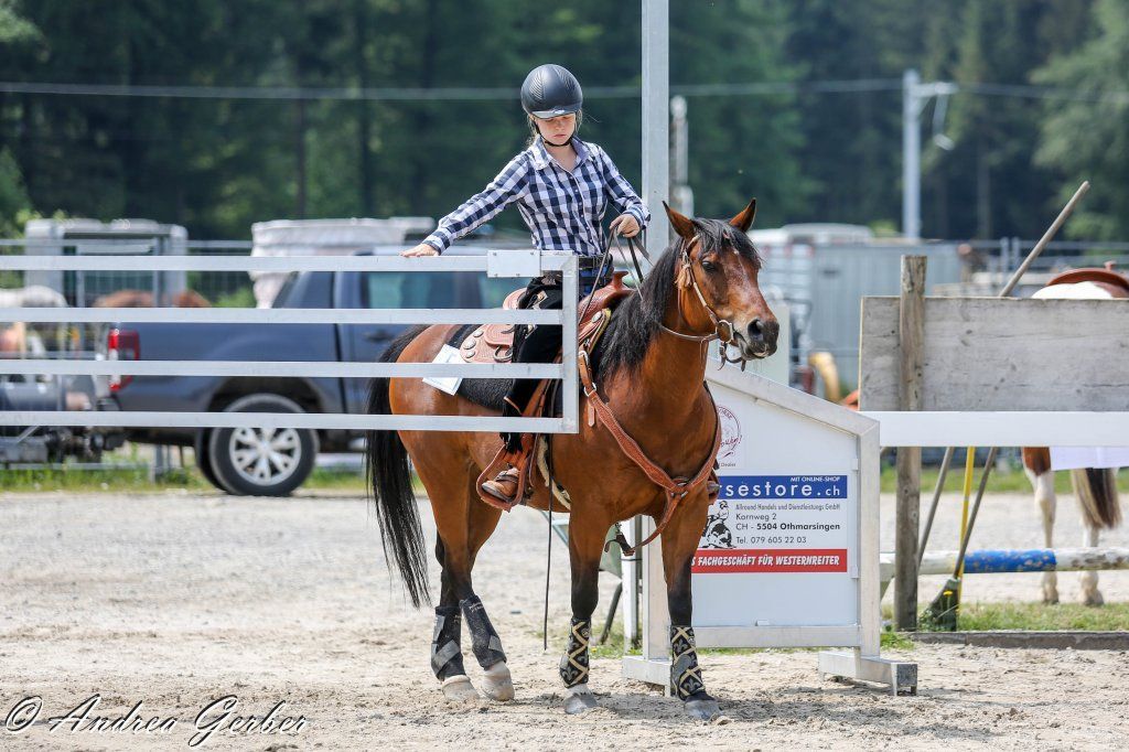 Swiss Ranch Horse Association - SRHA
