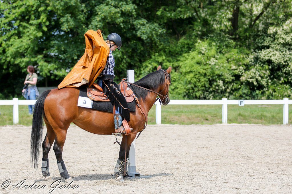 Swiss Ranch Horse Association - SRHA