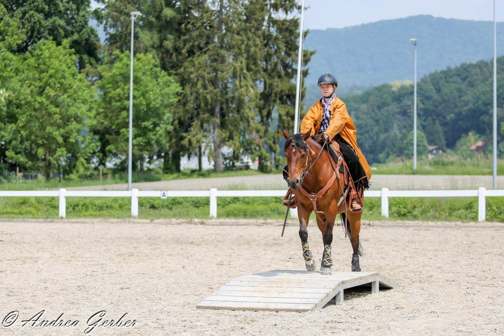 Swiss Ranch Horse Association - SRHA