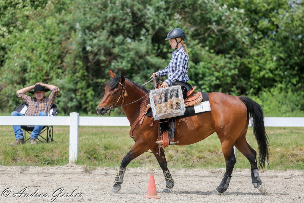 Swiss Ranch Horse Association - SRHA