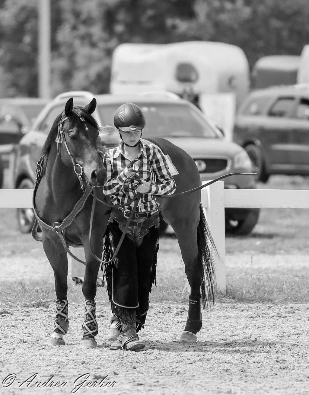 Swiss Ranch Horse Association - SRHA