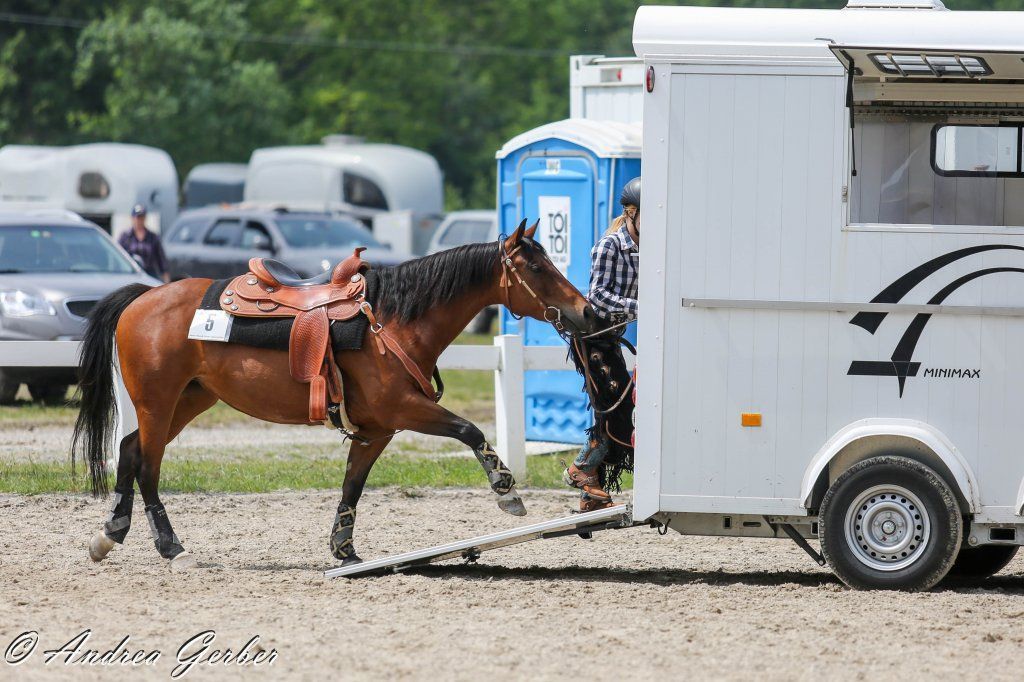 Swiss Ranch Horse Association - SRHA