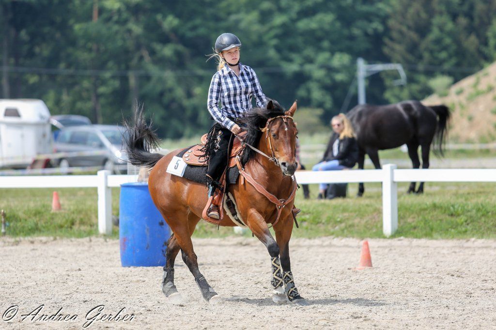 Swiss Ranch Horse Association - SRHA