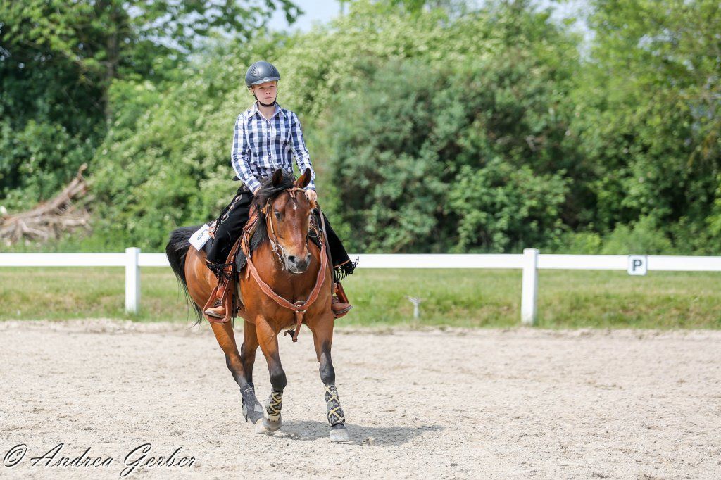 Swiss Ranch Horse Association - SRHA