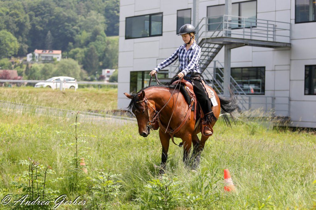 Swiss Ranch Horse Association - SRHA
