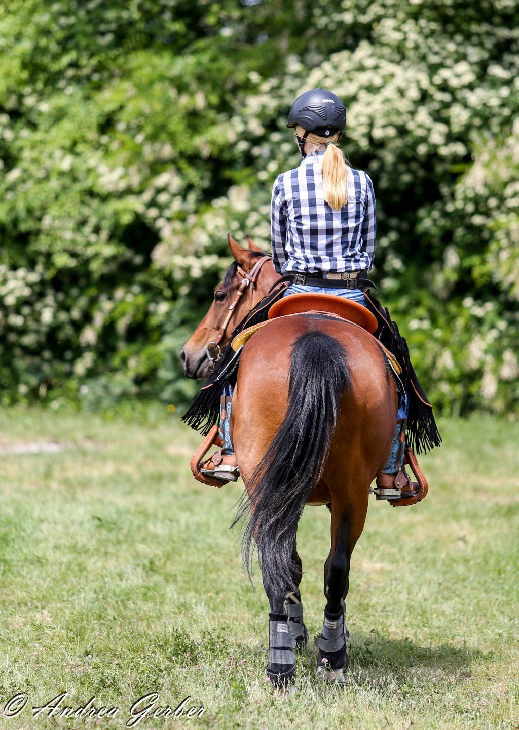 Swiss Ranch Horse Association - SRHA
