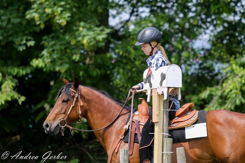 Swiss Ranch Horse Association - SRHA