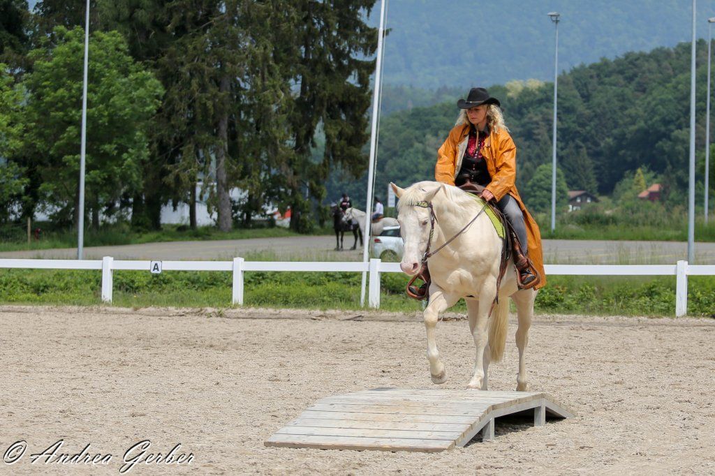 Swiss Ranch Horse Association - SRHA