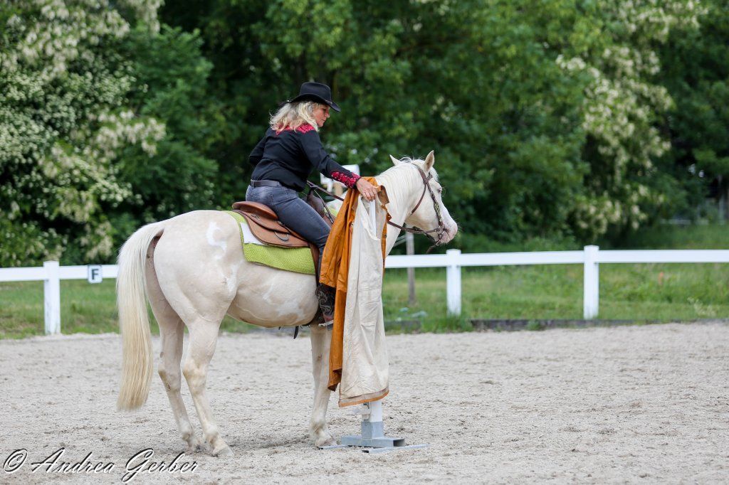 Swiss Ranch Horse Association - SRHA