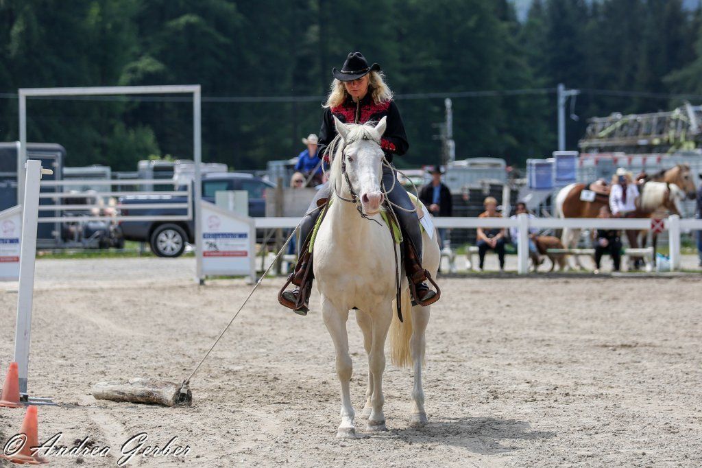 Swiss Ranch Horse Association - SRHA