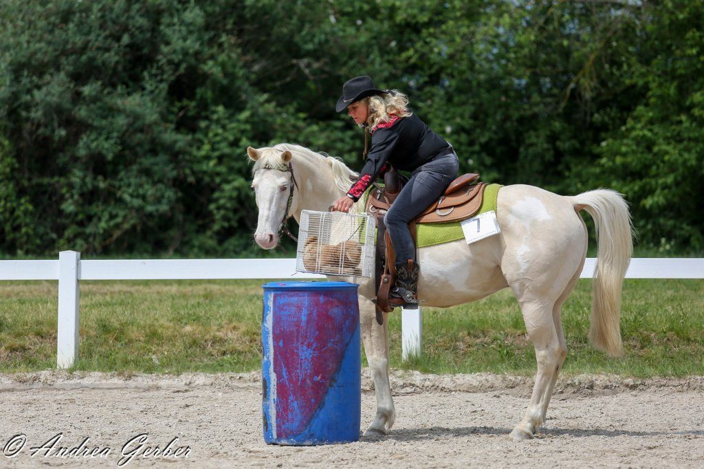 Swiss Ranch Horse Association - SRHA
