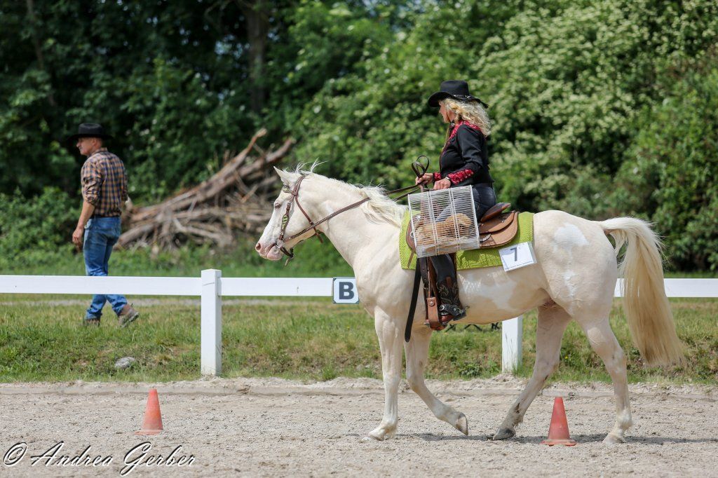 Swiss Ranch Horse Association - SRHA