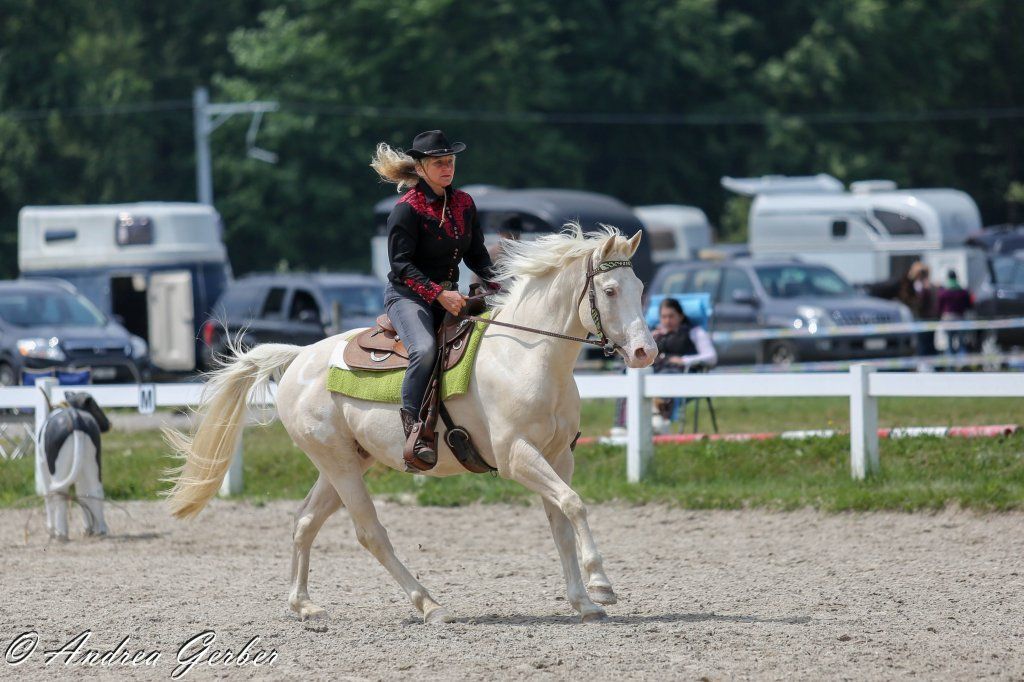 Swiss Ranch Horse Association - SRHA