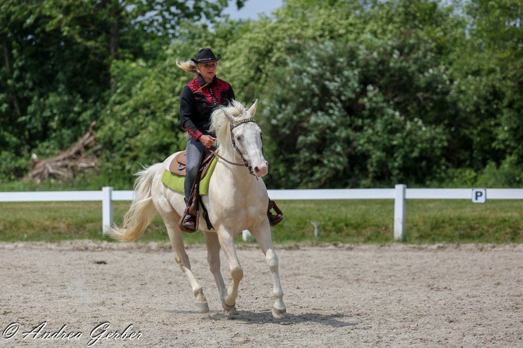 Swiss Ranch Horse Association - SRHA
