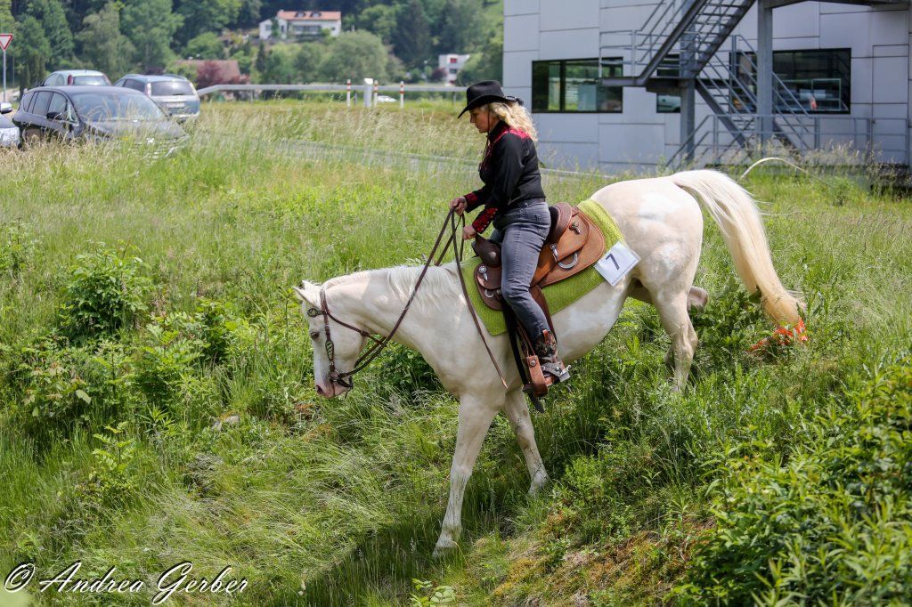 Swiss Ranch Horse Association - SRHA