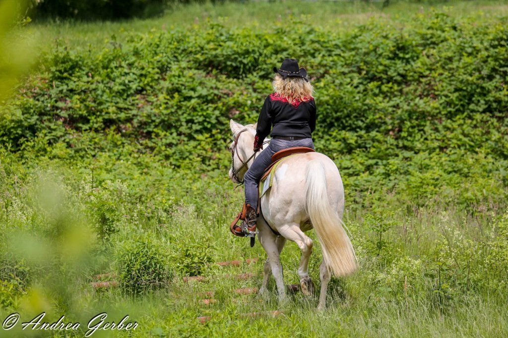 Swiss Ranch Horse Association - SRHA