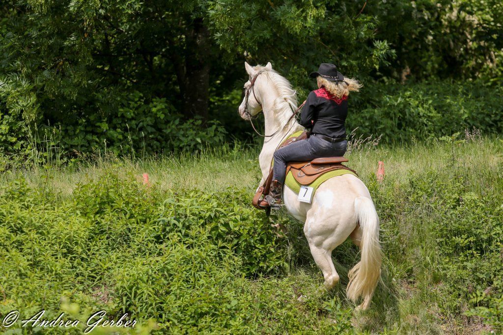 Swiss Ranch Horse Association - SRHA