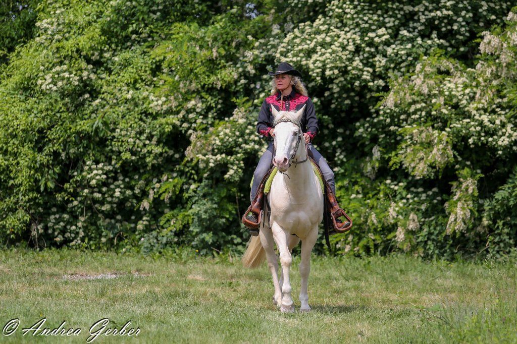 Swiss Ranch Horse Association - SRHA