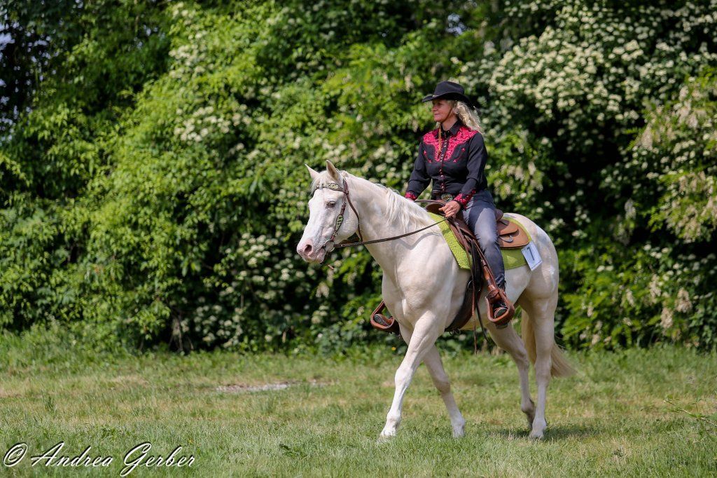 Swiss Ranch Horse Association - SRHA