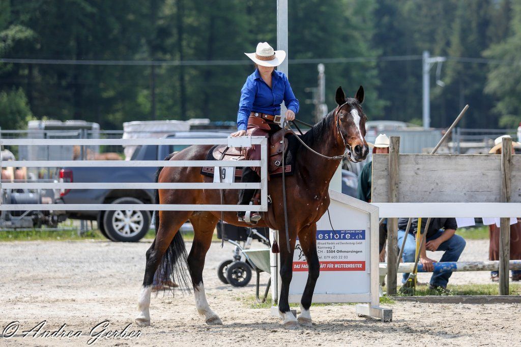 Swiss Ranch Horse Association - SRHA