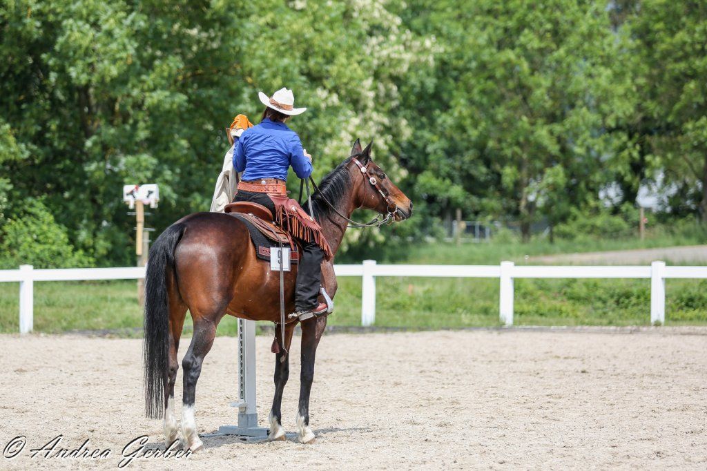 Swiss Ranch Horse Association - SRHA