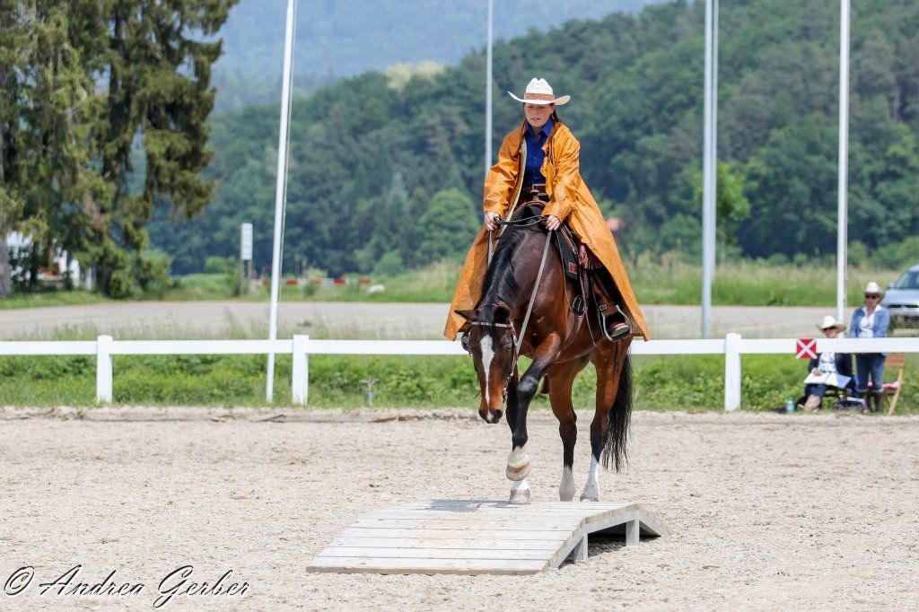Swiss Ranch Horse Association - SRHA