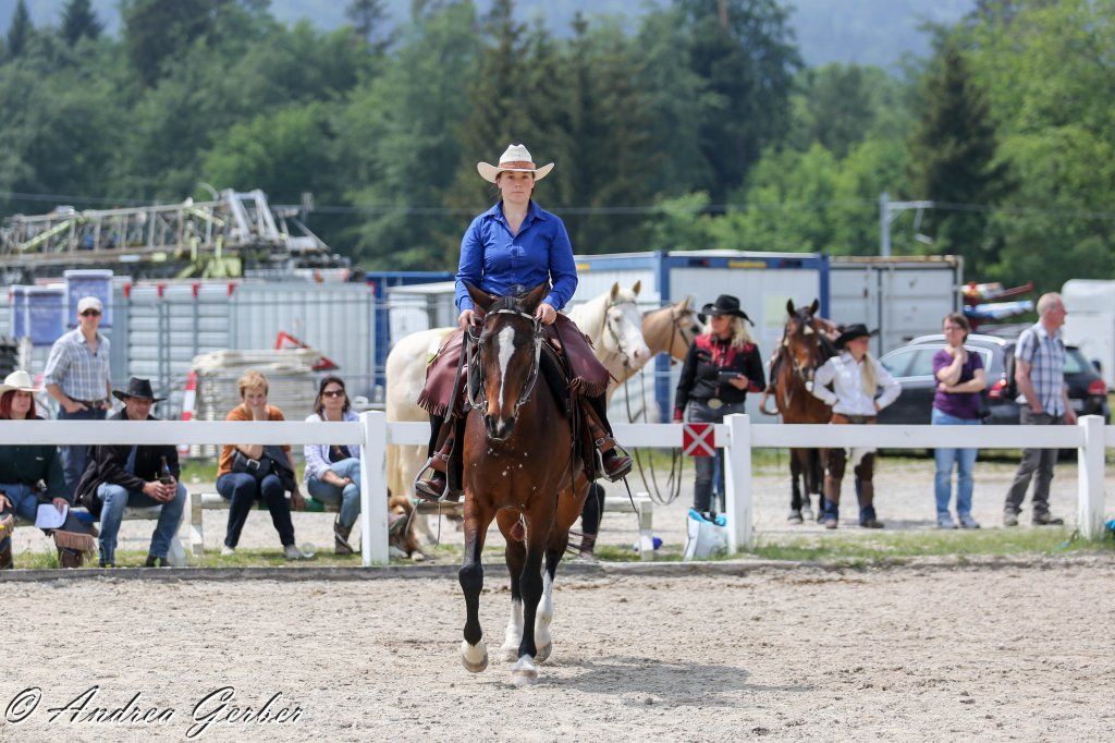 Swiss Ranch Horse Association - SRHA