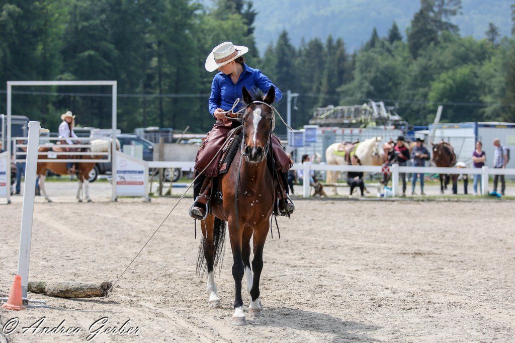 Swiss Ranch Horse Association - SRHA