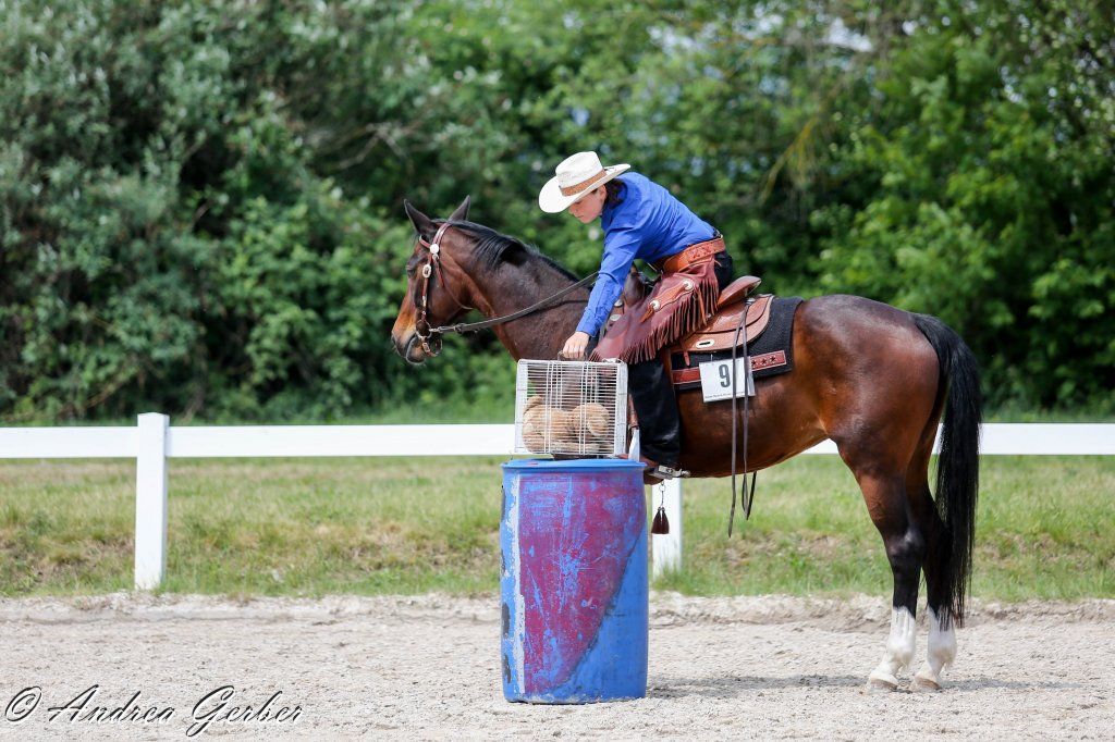 Swiss Ranch Horse Association - SRHA