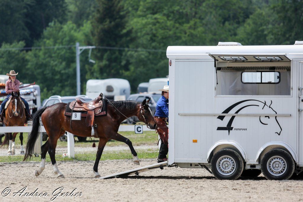 Swiss Ranch Horse Association - SRHA