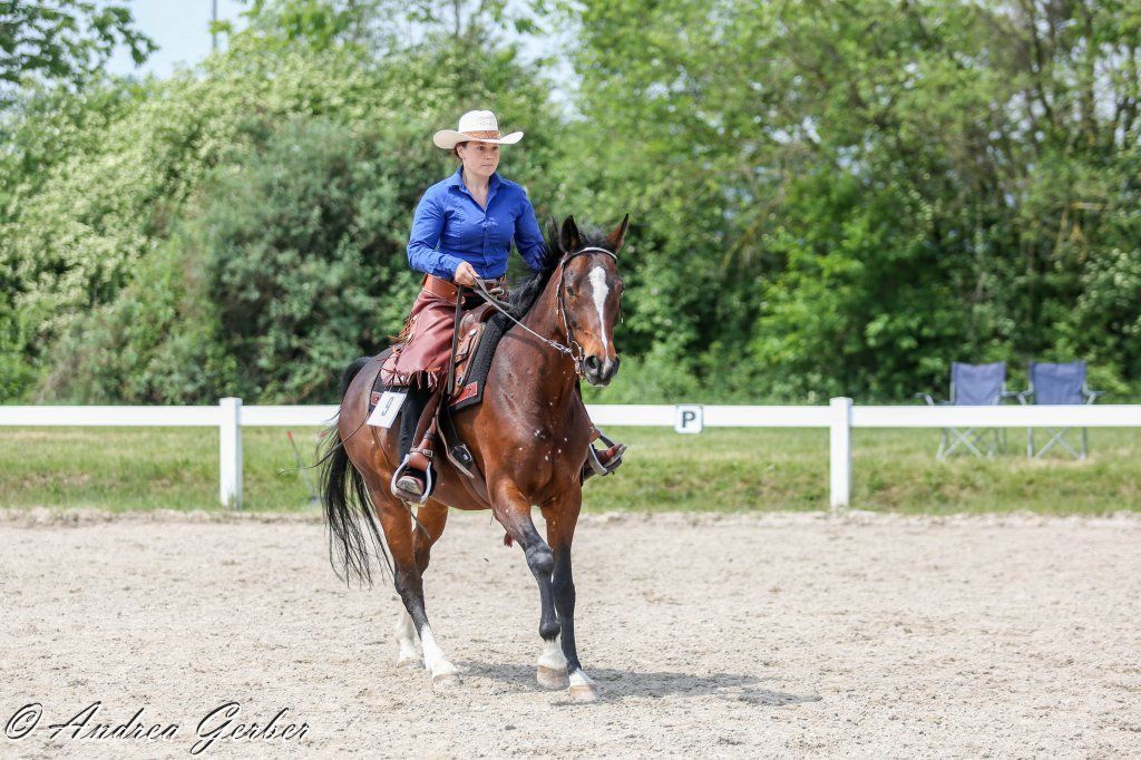 Swiss Ranch Horse Association - SRHA