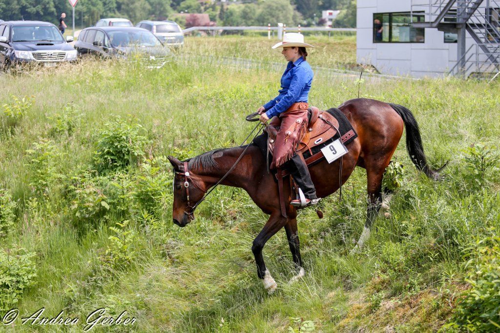 Swiss Ranch Horse Association - SRHA