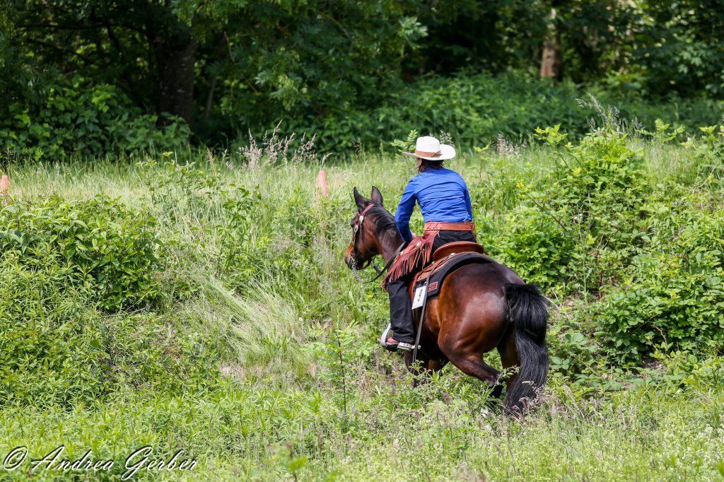Swiss Ranch Horse Association - SRHA