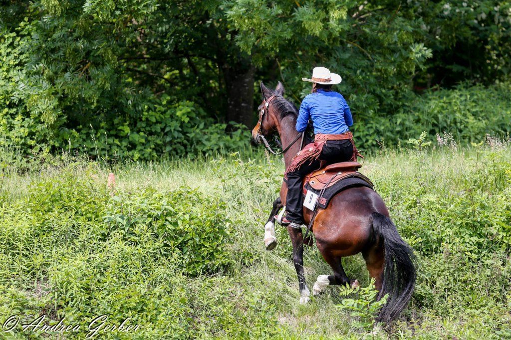Swiss Ranch Horse Association - SRHA