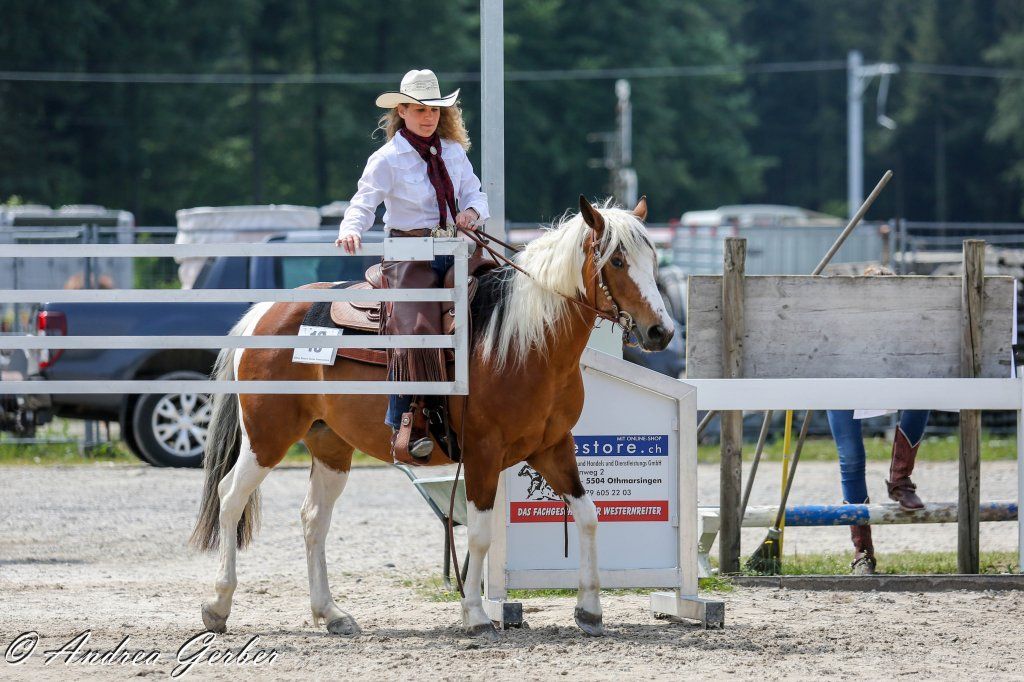 Swiss Ranch Horse Association - SRHA