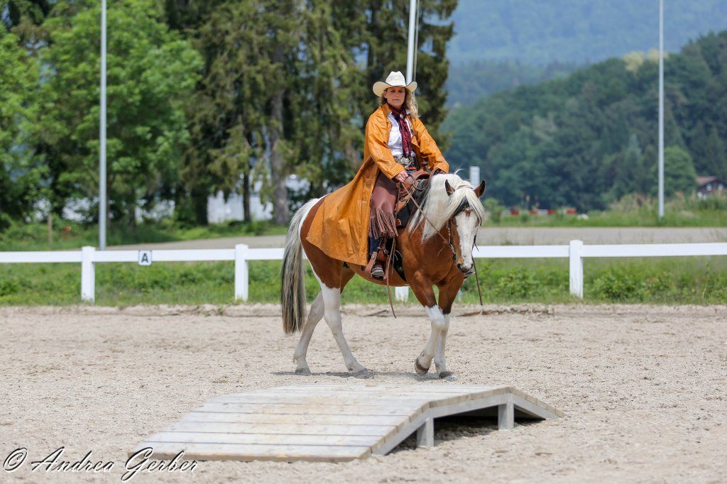 Swiss Ranch Horse Association - SRHA