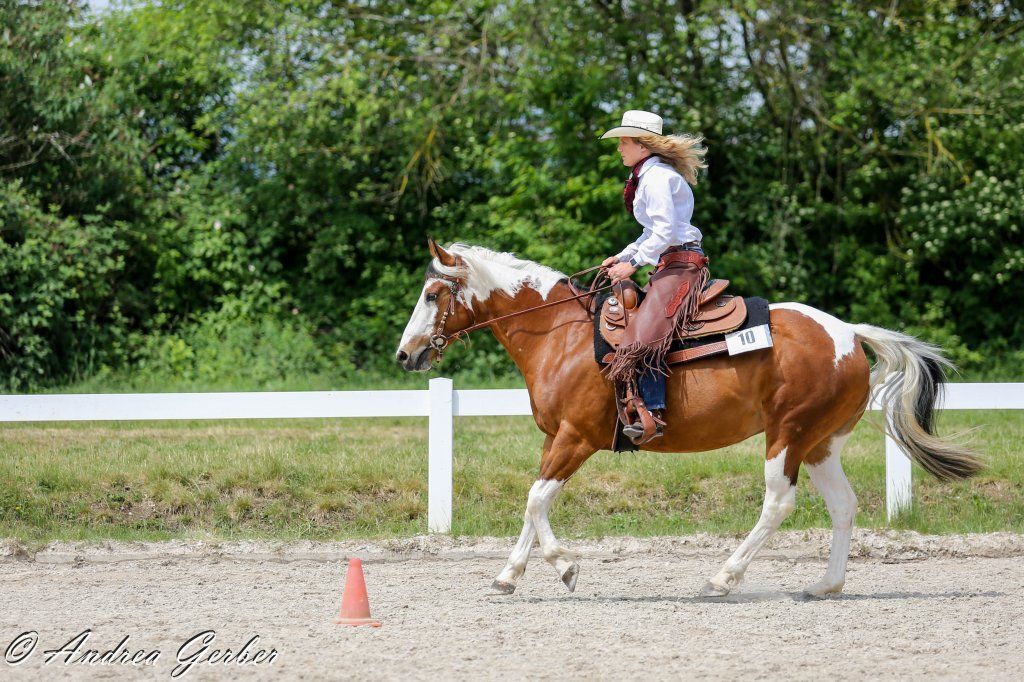 Swiss Ranch Horse Association - SRHA