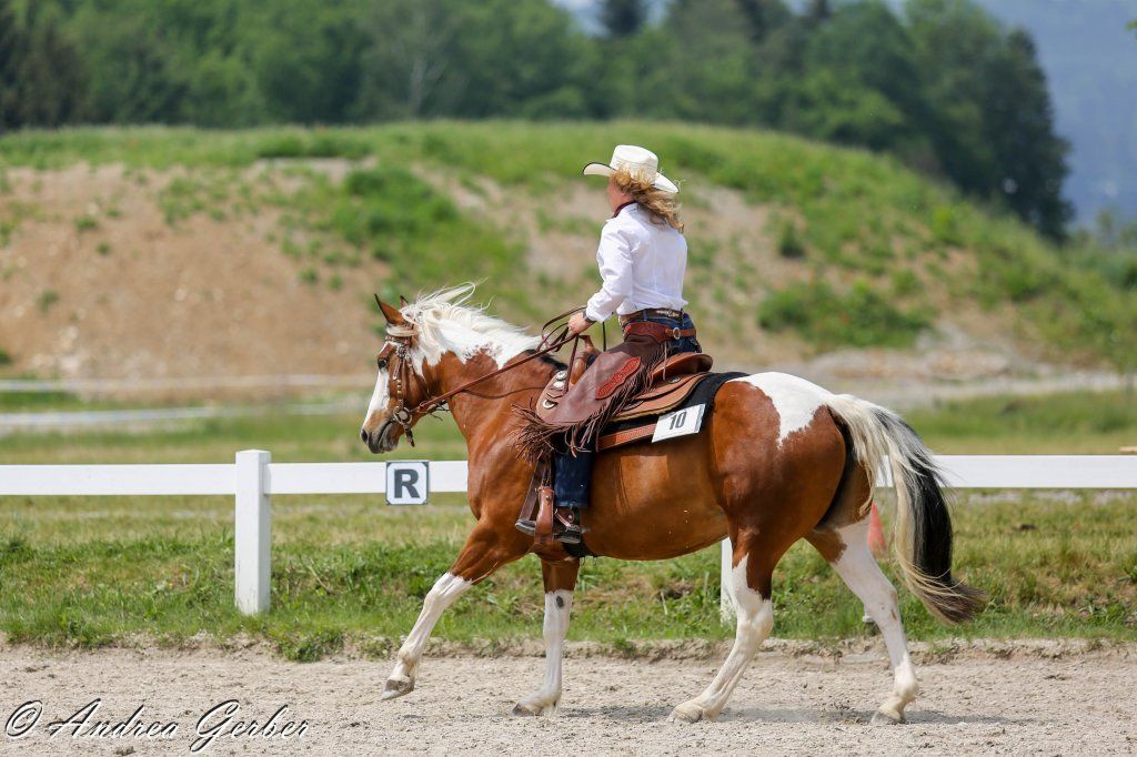 Swiss Ranch Horse Association - SRHA